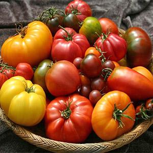 image for a (No Longer Available) ‘Farm To Table’ Cooking Class: The Endless Bounty of Fresh Tomatoes