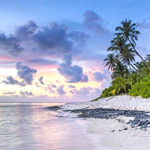 image for a Flavors of The Caribbean – It’s An Island Beach Party!