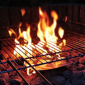 image for a Grilling 101 – The Thrill of the Grill™