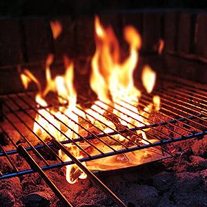 image for a (No Longer Available) Grilling 101 – The Thrill of the Grill™