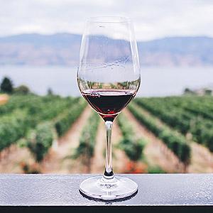 image for a Understanding & Appreciating French Wines