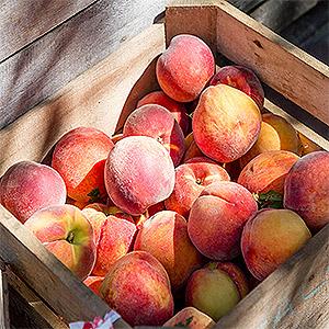 image for a Farmers Market Cooking That’s Simply Peachy!