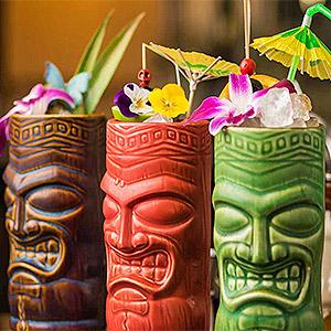 image for a (No Longer Available) Aloha! A Tropical Hawaiian Beach Party