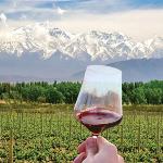 The image for The Wines of Latin America