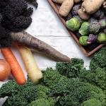 The image for PLENTY… of Vibrant Vegetable Recipes