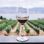 The image for An Exquisite Napa Valley Wine Country Dinner with Chef Gary Hild