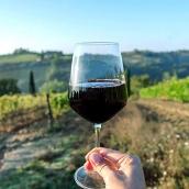 The image for Wines of Spain, Uncorked