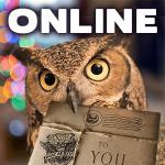 The image for ONLINE CAMP! Harry’s Magical Summer Cook-A-Long Camp (for ki