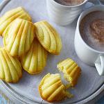 The image for (Moved To Sat. 3/9) Pastry Fundamentals: Marvelous Madeleines
